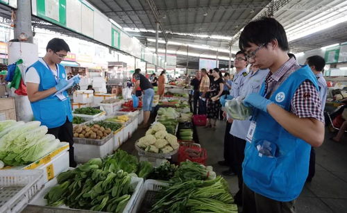 代表委员现场见证，抽检食用农产品全部合格，筑牢百姓“菜篮子”安全防线