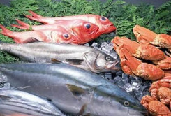 水产品监督抽检揭示生产环节隐患 5批次样品中1批次不合格的警示