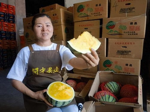 本地新品黄瓤西瓜甜蜜上市 探索农产品生产的创新与品质之路