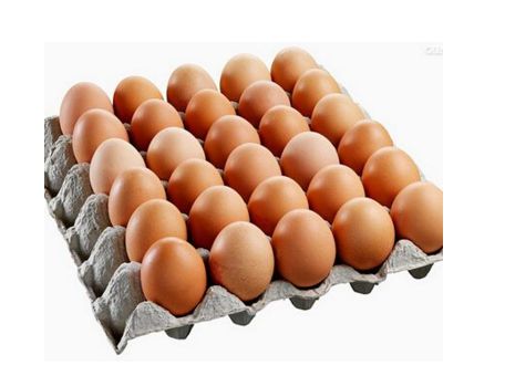 鸡吃什么爱下蛋？——科学饲养与食用农产品批发采购指南